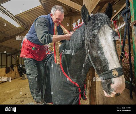 shire horse show 2022 newark.
